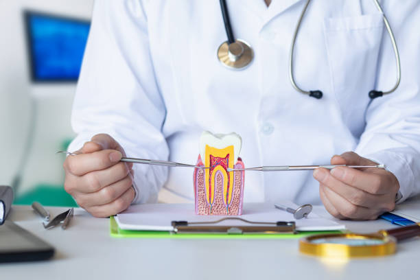 Best Pediatric Emergency Dentist in Lexington Park, MD